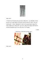 Diplomdarbs 'Uzskates līdzekļi bioloģijā - netradicionāla pieeja', 31.