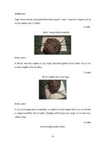 Diplomdarbs 'Uzskates līdzekļi bioloģijā - netradicionāla pieeja', 33.