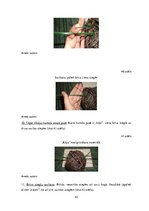 Diplomdarbs 'Uzskates līdzekļi bioloģijā - netradicionāla pieeja', 43.