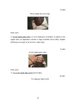 Diplomdarbs 'Uzskates līdzekļi bioloģijā - netradicionāla pieeja', 44.