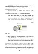 Diplomdarbs 'Uzskates līdzekļi bioloģijā - netradicionāla pieeja', 48.