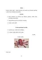 Diplomdarbs 'Uzskates līdzekļi bioloģijā - netradicionāla pieeja', 51.