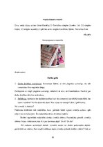 Diplomdarbs 'Uzskates līdzekļi bioloģijā - netradicionāla pieeja', 52.