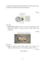 Diplomdarbs 'Uzskates līdzekļi bioloģijā - netradicionāla pieeja', 53.