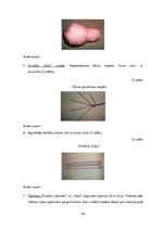 Diplomdarbs 'Uzskates līdzekļi bioloģijā - netradicionāla pieeja', 54.