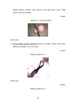 Diplomdarbs 'Uzskates līdzekļi bioloģijā - netradicionāla pieeja', 55.