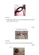 Diplomdarbs 'Uzskates līdzekļi bioloģijā - netradicionāla pieeja', 56.