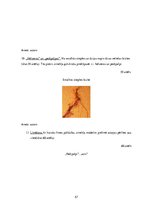 Diplomdarbs 'Uzskates līdzekļi bioloģijā - netradicionāla pieeja', 57.