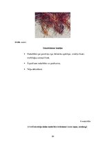 Diplomdarbs 'Uzskates līdzekļi bioloģijā - netradicionāla pieeja', 58.