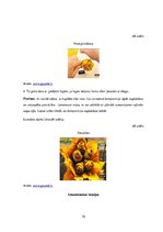 Diplomdarbs 'Uzskates līdzekļi bioloģijā - netradicionāla pieeja', 70.