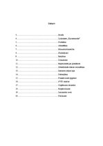 Prakses atskaite 'SIA "Jaunais kurzemnieks" kvalifikācijas prakses atskaite', 2.