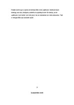 Prakses atskaite 'SIA "Jaunais kurzemnieks" kvalifikācijas prakses atskaite', 17.