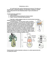 Konspekts 'Kuģu energoiekārtas - dīzeļdzinēji', 2.