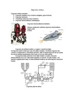 Konspekts 'Kuģu energoiekārtas - dīzeļdzinēji', 6.
