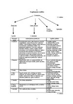 Biznesa plāns 'Ēdināšanas uzņēmuma biznesa plāns', 7.