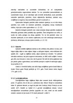 Referāts 'Kokapstrādes darbmašīnas', 9.