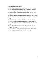 Referāts 'Latvijas Nacionālās bibliotēkas projekts – simbols vai nepieciešamība', 16.