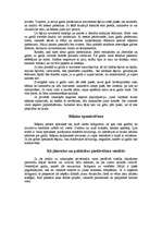 Referāts 'Itālija', 3.