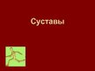 Prezentācija 'Суставы', 1.