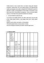 Referāts 'Latviešu leģionāru gājiena fotogrāfiju freimings latviešu un krievu laikrakstos ', 17.