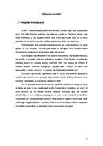 Referāts 'Latviešu leģionāru gājiena fotogrāfiju freimings latviešu un krievu laikrakstos ', 21.