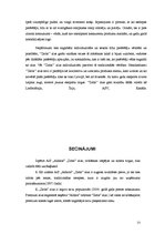 Referāts 'AS "Aldaris" produkta "Zelta" alus markas vērtība, tēls un individualitāte', 13.