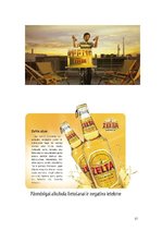 Referāts 'AS "Aldaris" produkta "Zelta" alus markas vērtība, tēls un individualitāte', 17.