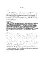 Konspekts 'Romāna "Mērnieku laiki" tēlu raksturojums', 1.