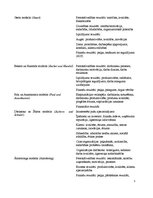 Referāts 'Korporatīvās sociālās atbildības loma uzņēmumu personālvadībā', 5.