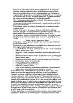 Konspekts 'Darba līgums', 6.