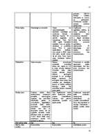 Referāts 'Dabisko dzērienu ražošanas uzņēmuma mārketinga vides un stratēģijas analīze un d', 20.