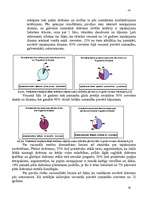 Referāts 'Dabisko dzērienu ražošanas uzņēmuma mārketinga vides un stratēģijas analīze un d', 28.