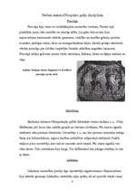 Referāts 'Antīkās Olimpiskās spēles', 8.