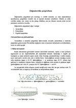 Konspekts 'Koksnes materiālu piegriešana', 5.