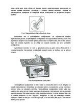Konspekts 'Koksnes materiālu piegriešana', 9.