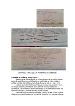 Referāts 'Skrimšļi', 2.