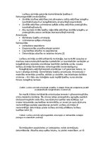 Referāts 'Skrimšļi', 5.