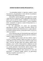 Prakses atskaite 'Prakse nodibinājumā', 8.