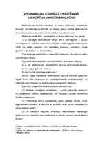 Prakses atskaite 'Prakse nodibinājumā', 18.