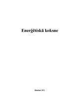 Referāts 'Enerģētiskā koksne', 1.