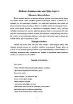 Referāts 'Enerģētiskā koksne', 6.