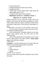 Referāts 'Mazā un vidējā biznesa vadība', 11.