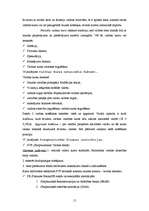 Referāts 'Mazā un vidējā biznesa vadība', 15.