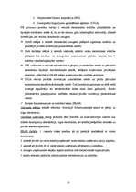 Referāts 'Mazā un vidējā biznesa vadība', 16.