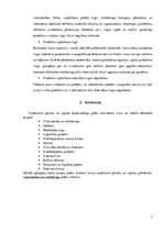 Prakses atskaite 'Prakses atskaite uzņēmumā "Eugesta un partneri"', 3.