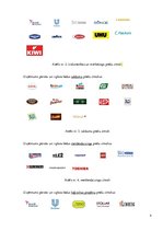 Prakses atskaite 'Prakses atskaite uzņēmumā "Eugesta un partneri"', 4.