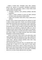 Prakses atskaite 'Prakses atskaite mārketingā', 6.