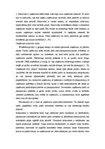 Prakses atskaite 'Prakses atskaite mārketingā', 7.