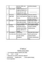 Prakses atskaite 'Prakses atskaite mārketingā', 16.