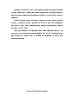 Prakses atskaite 'Prakses atskaite mārketingā', 19.